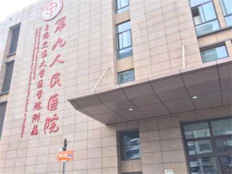 一份上海九院隆鼻修复价格表（价格表）官方更新版，隆鼻修复