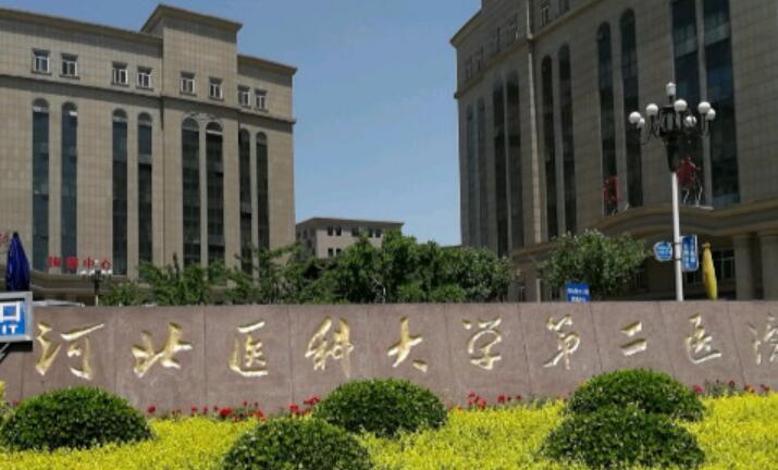 深圳南雅整形医院好吗？价目表一览丨医生名单丨吸脂整形日记