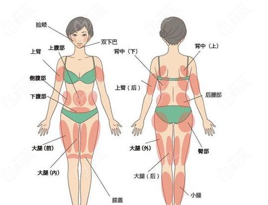 各部位抽脂价格表：抽脂和运动减肥比为何不反弹？